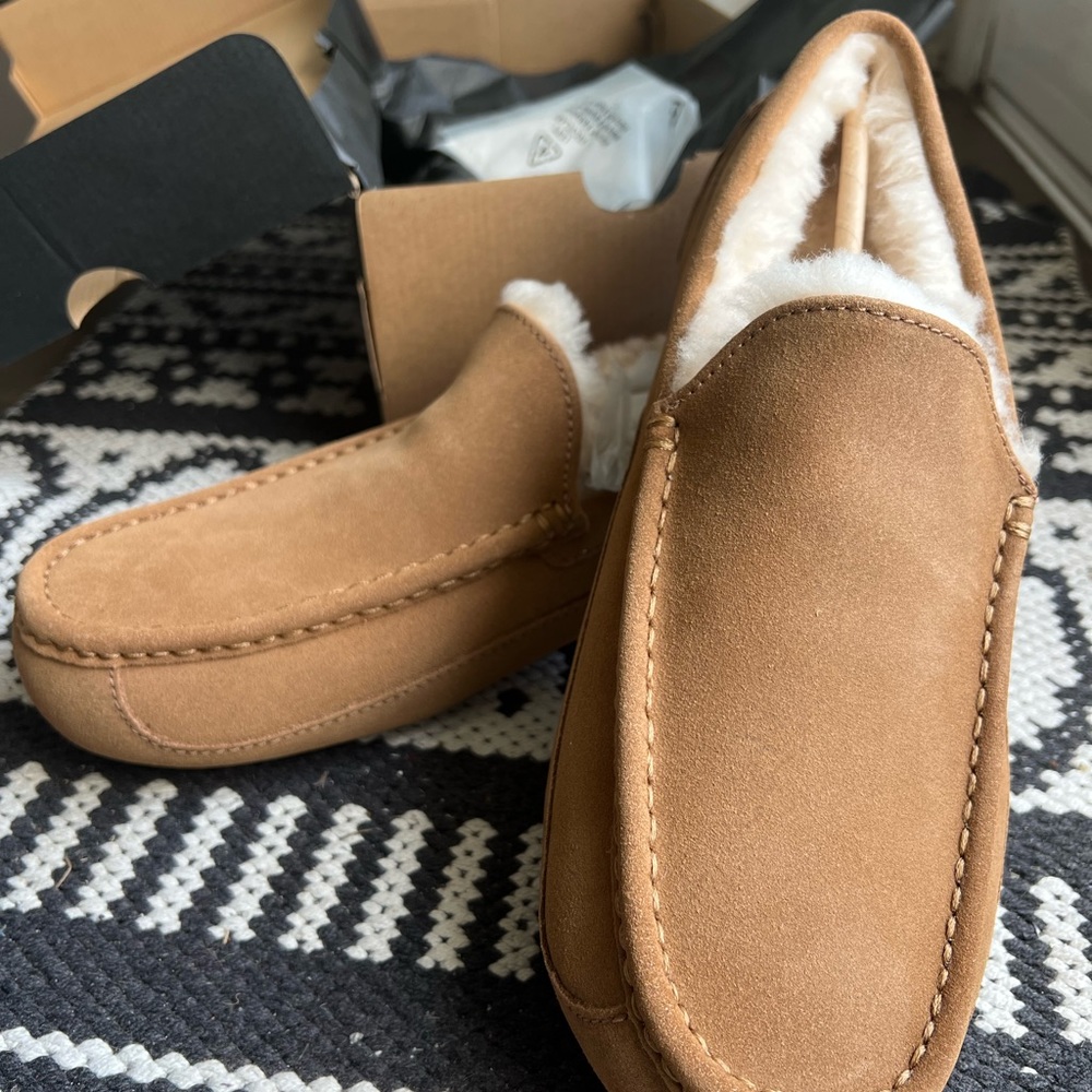 UGG Ascot Men’s slipper